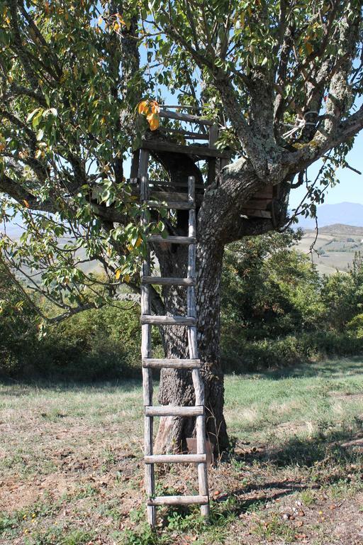 Il Podere Degli Artisti San Casciano dei Bagni Esterno foto